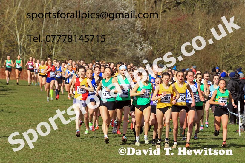 Womens Under-20s 2022 CAU Inter Counties Cross Country, Prestwold Hall, Loughborough.  Photo: David T. Hewitson/Sports for All Pics